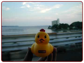 Selftaping_067 Selftaping_067